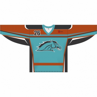 Ice Hockey Sublimated Jersey